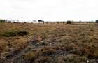 Land in Isinya - 2