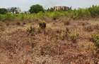 Land at Shanzu - 5