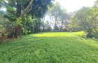 5 Bed House with En Suite at Nyari - 2