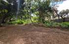 Land in Hurlingham - 10