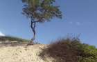 Land at Ngomeni - 8