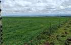 314 ac Land at Timau - 22
