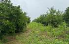 Land in Kilifi - 7
