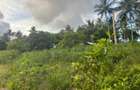 0.6 ac Land at Ls219 - 3