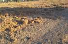 Land in Kitengela - 8