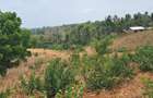 Land in Kilifi - 4