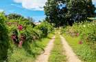 Land at Nyali - 11