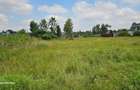 0.35 ha Residential Land at Ufanisi Lane Mugutha - 2
