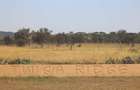 Land in Mombasa Road - 17