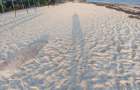 4 ac Land in Watamu - 3