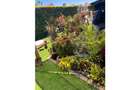 4 Bed House with En Suite at Runda Paradise - 3