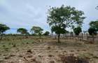 2 ac Land in Bofa - 12