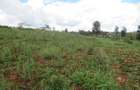4.5 ac Land at Kibiko - 9