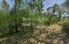4.8 ac Land at Riara Ridge - 11