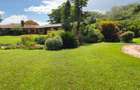 540 ac Land in Bisil - 9