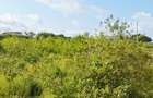 Land at Shanzu - 8