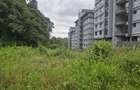 Land at Kirawa Road - 3
