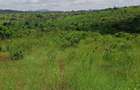 500 ac Land at Makuyu - 1