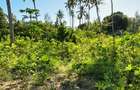Land at Kwale - 15