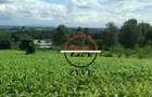 0.125 ac Land at Kanunga Kiambu Road - 8