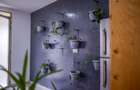 4 Bed House in Spring Valley - 9
