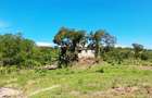 Land at Msambweni - 8