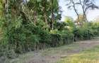 Land in Kikambala - 4