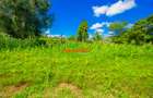 0.2 ha Commercial Land in Ndeiya - 7