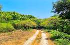 167.5 ac Land at Kuruwitu Beach - 16