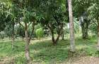 Land at Mtwapa - 19