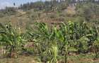 Land in Ngong - 5