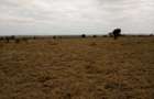 Land at Umma University - 14