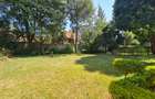 4 Bed House with En Suite at Miotoni - 3