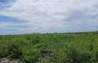 Land in Watamu - 5