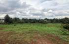 Land in Runda - 3