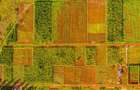 Residential Land in Ruiru - 4
