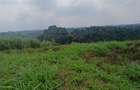 1 ac Land in Redhill - 4