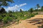0.0405 ha Residential Land at Galu Beach Diani Beach Road - 9