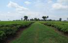 Land at Kiambu Rd - 10