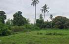 2 ac Land at Animo - 1