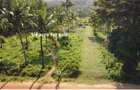 0.25 ac Land at Ls2477 - 3