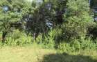 9 ac Land at Karen - 6