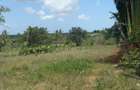 11 ac Residential Land at Ramisi - 3
