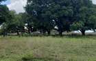 5 ac Land at Mavueni - 7