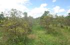 Land at Thika-Gatanga Rd - 6