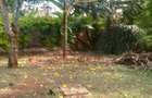 3 Bed House in Runda - 2