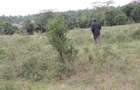 2 ac Land at Nkoroi - 5