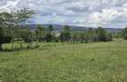 30,000 m² Residential Land at Aistrip - 3
