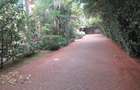4 Bed Townhouse with En Suite at Runda - 4