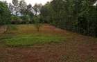0.5 ac Land at Ololua - 4
